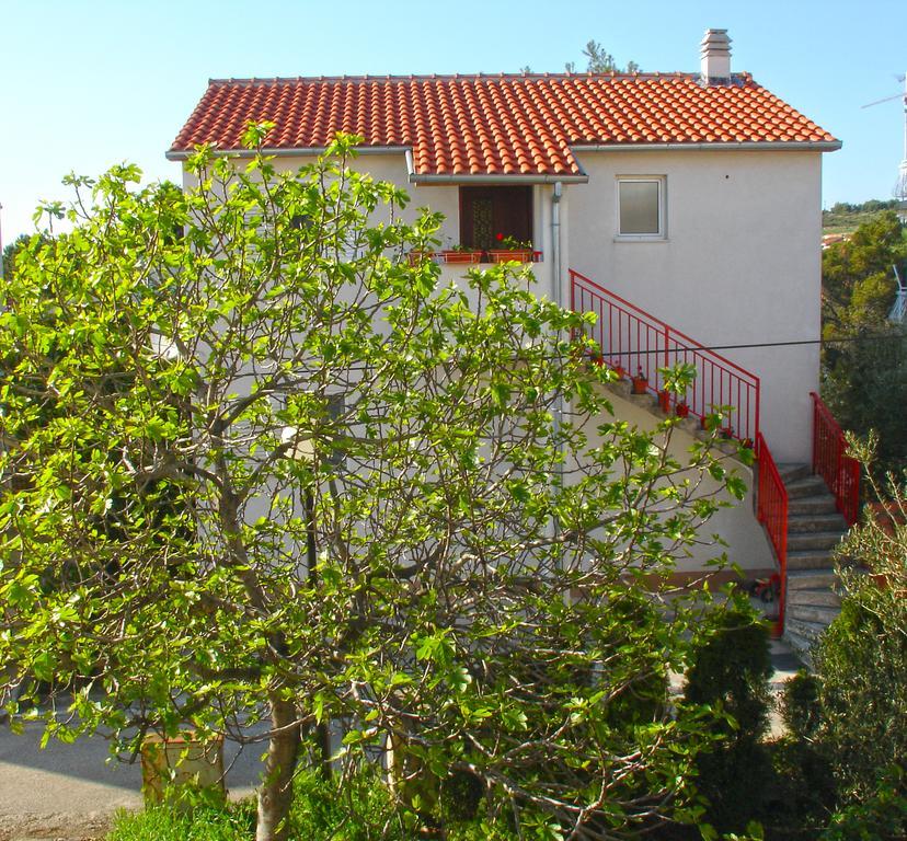 Apartment Branko *